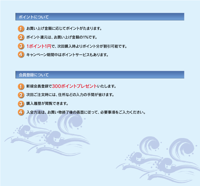 ポイントについて